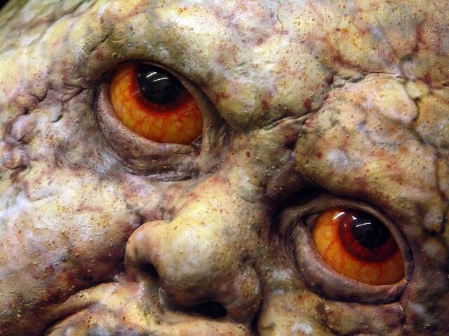 File:Grey Child Close-Up.jpg