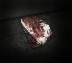 LetterInBlood