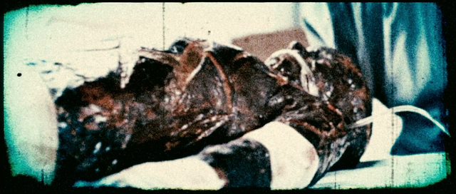 File:AlessaB2.png