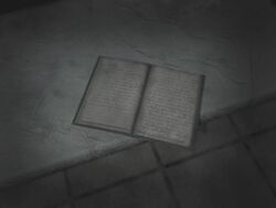 SH4Diary3