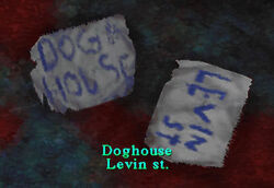 SH1 Doghouse Levin St