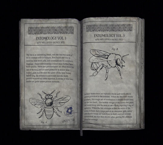 File:Book4 Entomology Volume 3.jpg