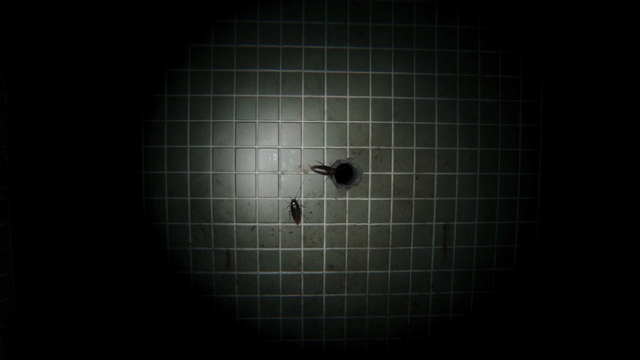 File:CockroachesInHole.png
