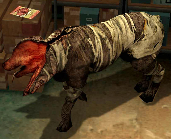 File:DoubleHead.png