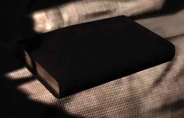 File:Murphy's Journal.jpg
