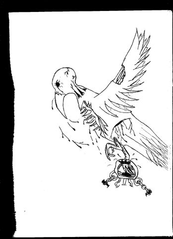 File:Trappedbird.jpeg