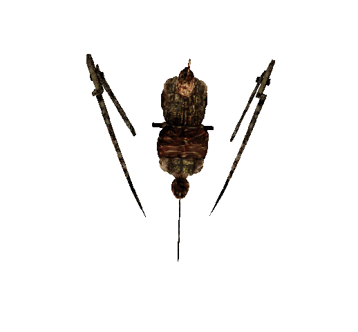 File:PendModel.gif
