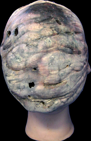 File:NurseMask.png