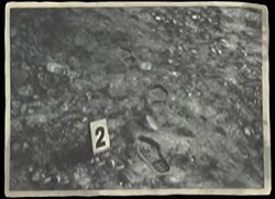Crime Scene Photo -2