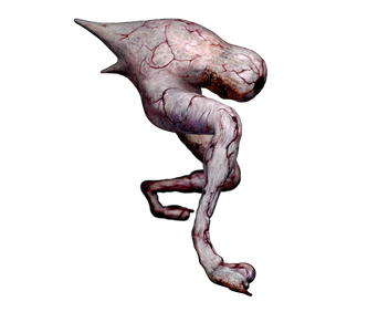 File:Numbbody0.png