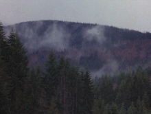 FoggyMorning.gif