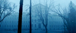 Brookmovie.png