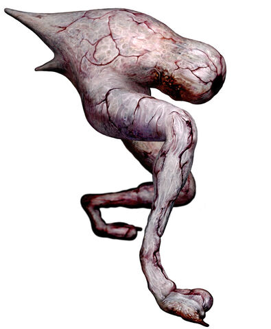 Datei:Walker.jpg
