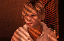 HeatherSunset.png