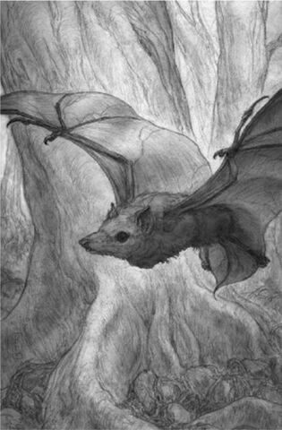 File:Duskglide.jpg