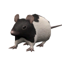 Ratsa