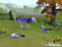 Simanimals-wii-screens-20090126051738352 640w