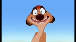 830px-Timon