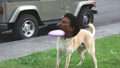 Thumbnail for version as of 03:20, January 12, 2016