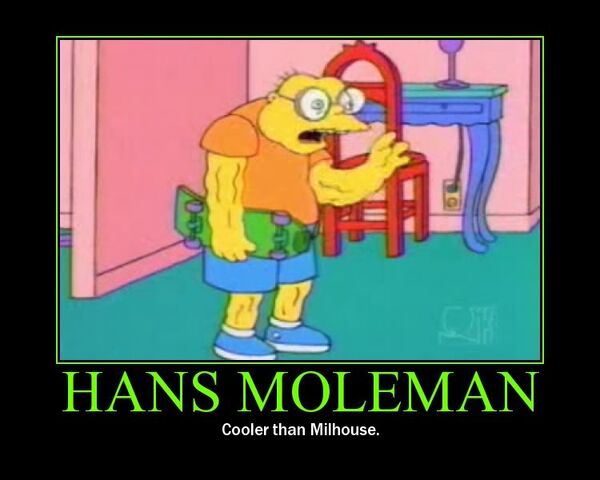File:Hans Moleman demotivational poster.jpg