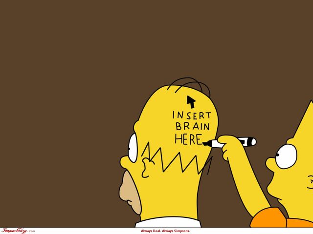 File:Insert brain here drawing.jpg