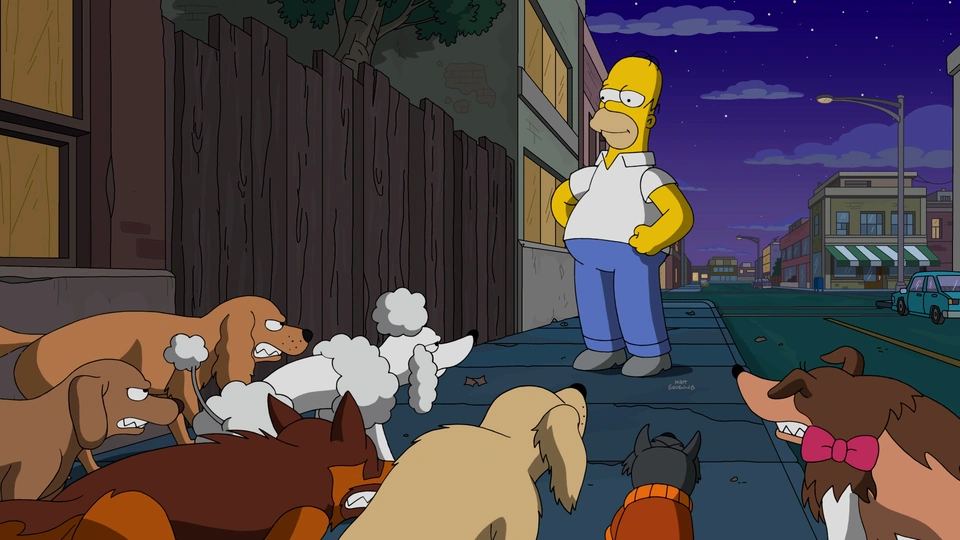 Resultado de imagem para os simpsons Dogtown