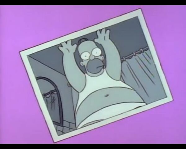 File:Homer's Night Out (060).jpg