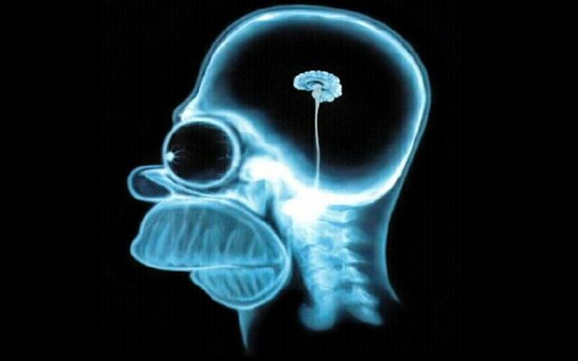 Файл:Homer-simpson-brain,1280x800,18857.jpg