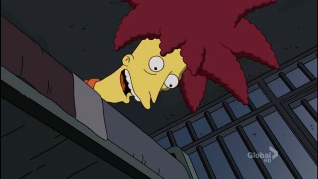 File:The Bob Next Door (217).jpg