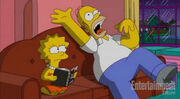 Homerfart