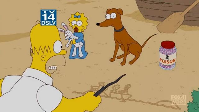 File:Gone Maggie Gone (107).jpg