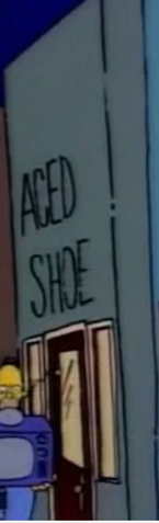 File:Acced Shoe (There's No Disgrace Like Home).png