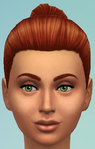 File:YfHair PonyTailTight FRONT.png