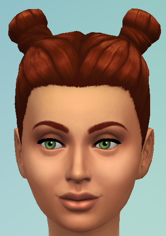 File:YfHair BunsBack.png
