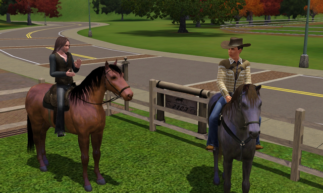 File:Country Cowpokes household.png