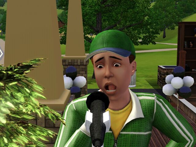 File:Screenshot-MichaelBachelor.jpg