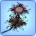 Chrysanthème.jpg