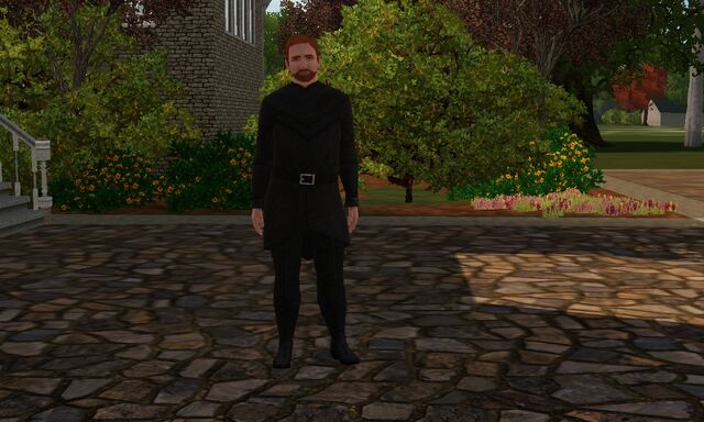 File:Seamus O'Connell screenshot.jpg