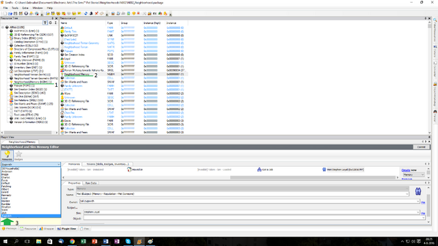 File:Getting to your sim.png
