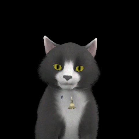 File:Mozart Miller.png