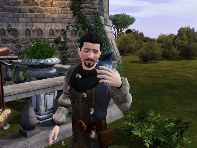 File:Pigeon sims medieval.jpg