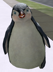 Pingouin