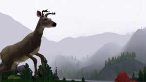 Screenshot-1356.jpg