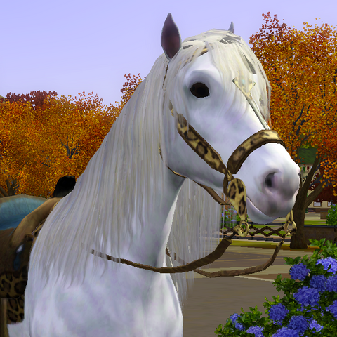 File:SkedaddleDarnell.png
