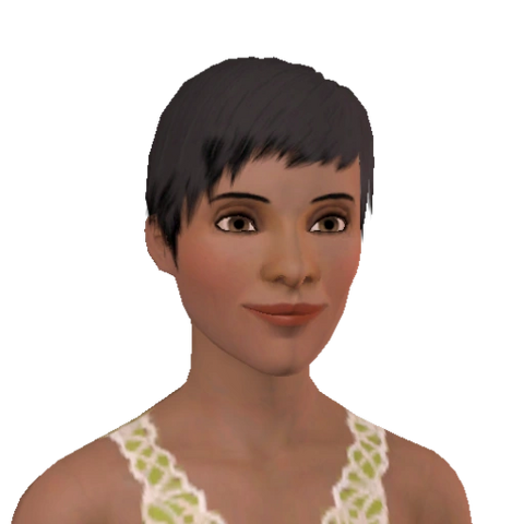 File:Honey Hamada.png