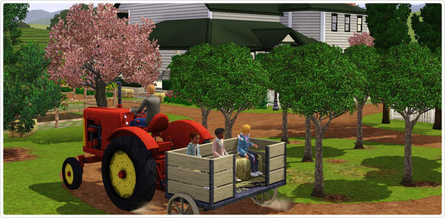 File:Tractor 2.jpg