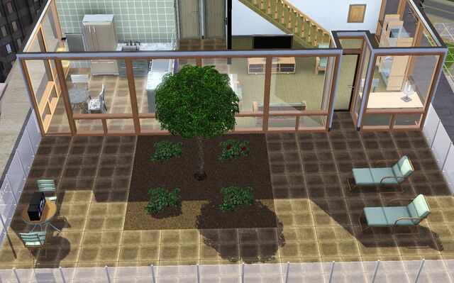 File:Rooftop garden step two.jpg