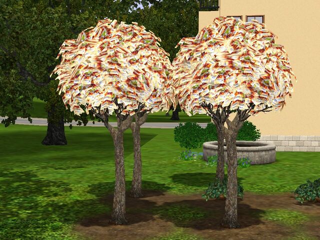 File:Money-tree-ts3.jpg