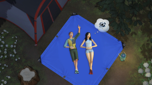 File:TS4 Stargazing.png