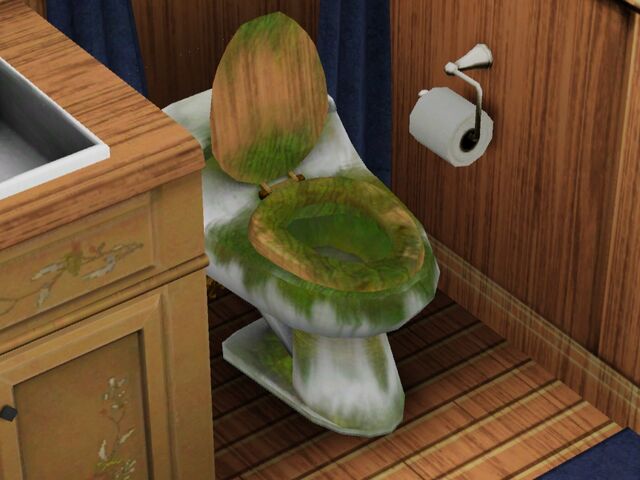 File:Nasty Toilet.jpg